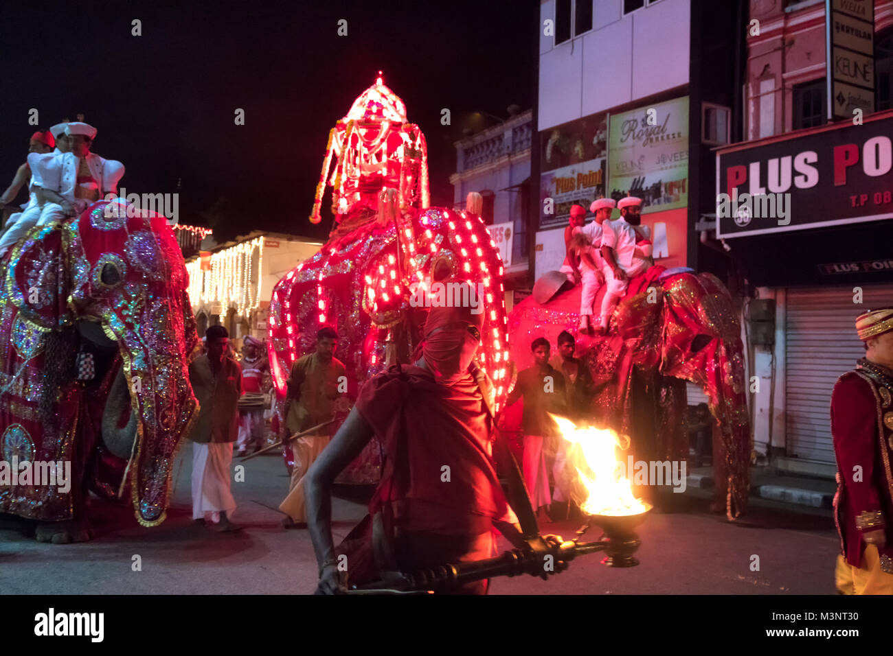 Sri Lanka Kandy Esala Perahera parade elephants costume caparison procession at night man carrying fire torch Stock Photo
