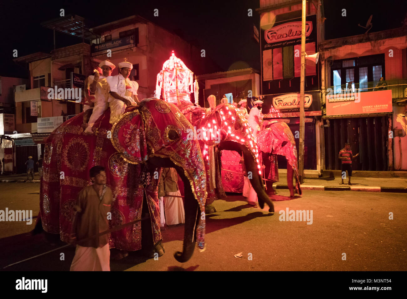 Sri Lanka Kandy Esala Perahera parade elephants costume caparison procession at night Stock Photo
