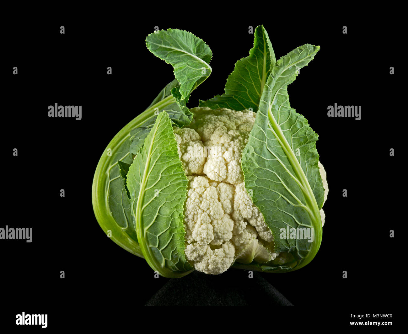 Studio portrait of Cauliflower in detail Stock Photo