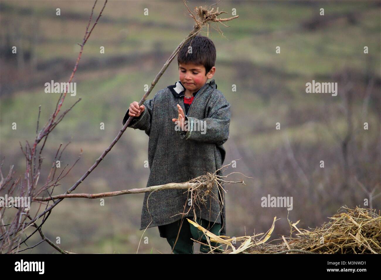 kashmiri boy, kupwara, Kashmir, India, Asia Stock Photo Alamy