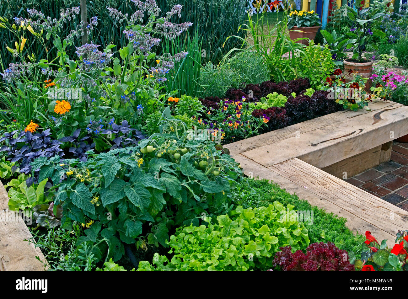 Summer Garden Mixed Vegetable Flower High Resolution Stock Photography