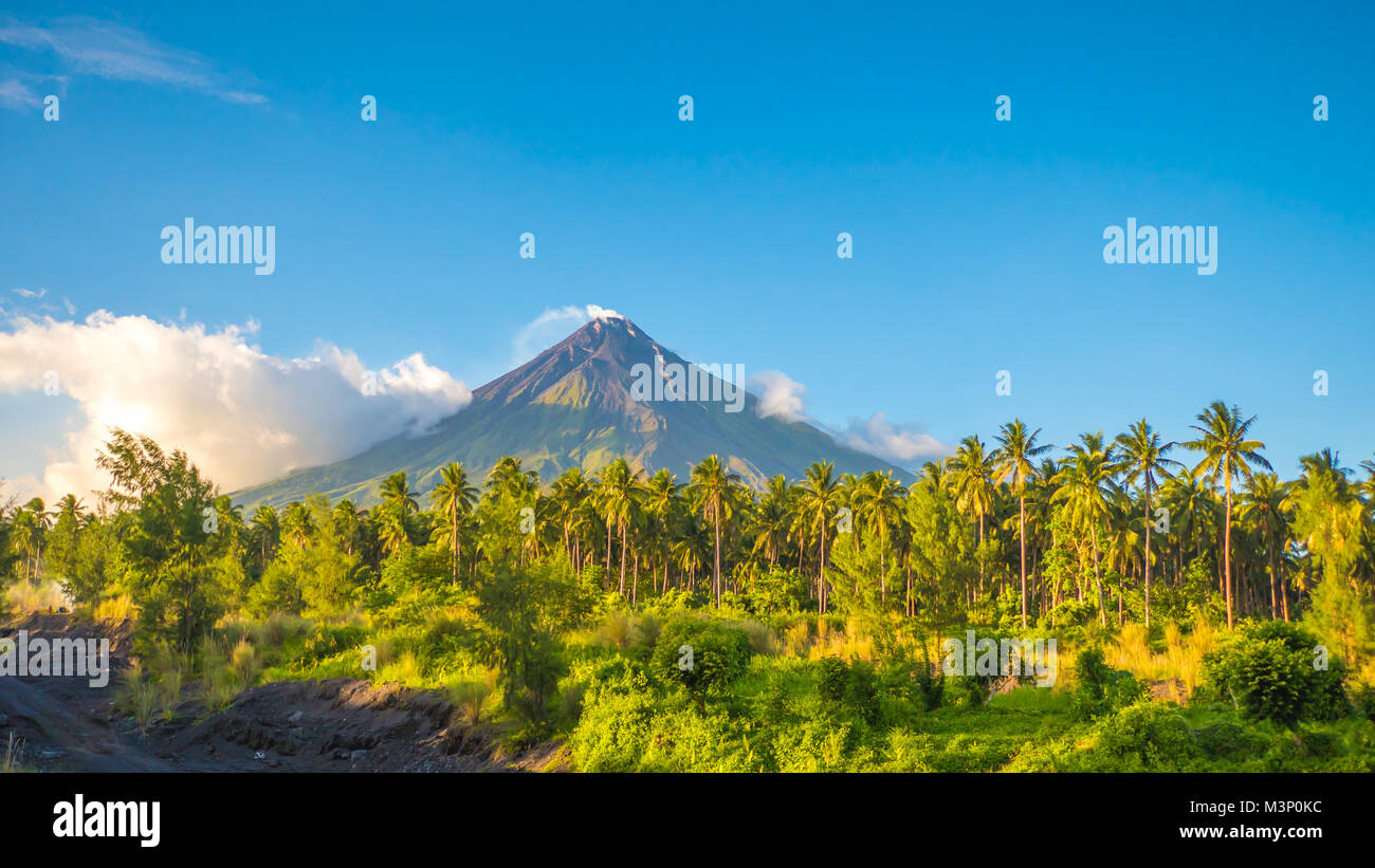 Mayon Volcano is an active stratovolcano in the province of Albay in Bicol Region, on the island of Luzon in the Philippines. Renowned as the perfect cone because of its symmetric conical shape. Stock Photo