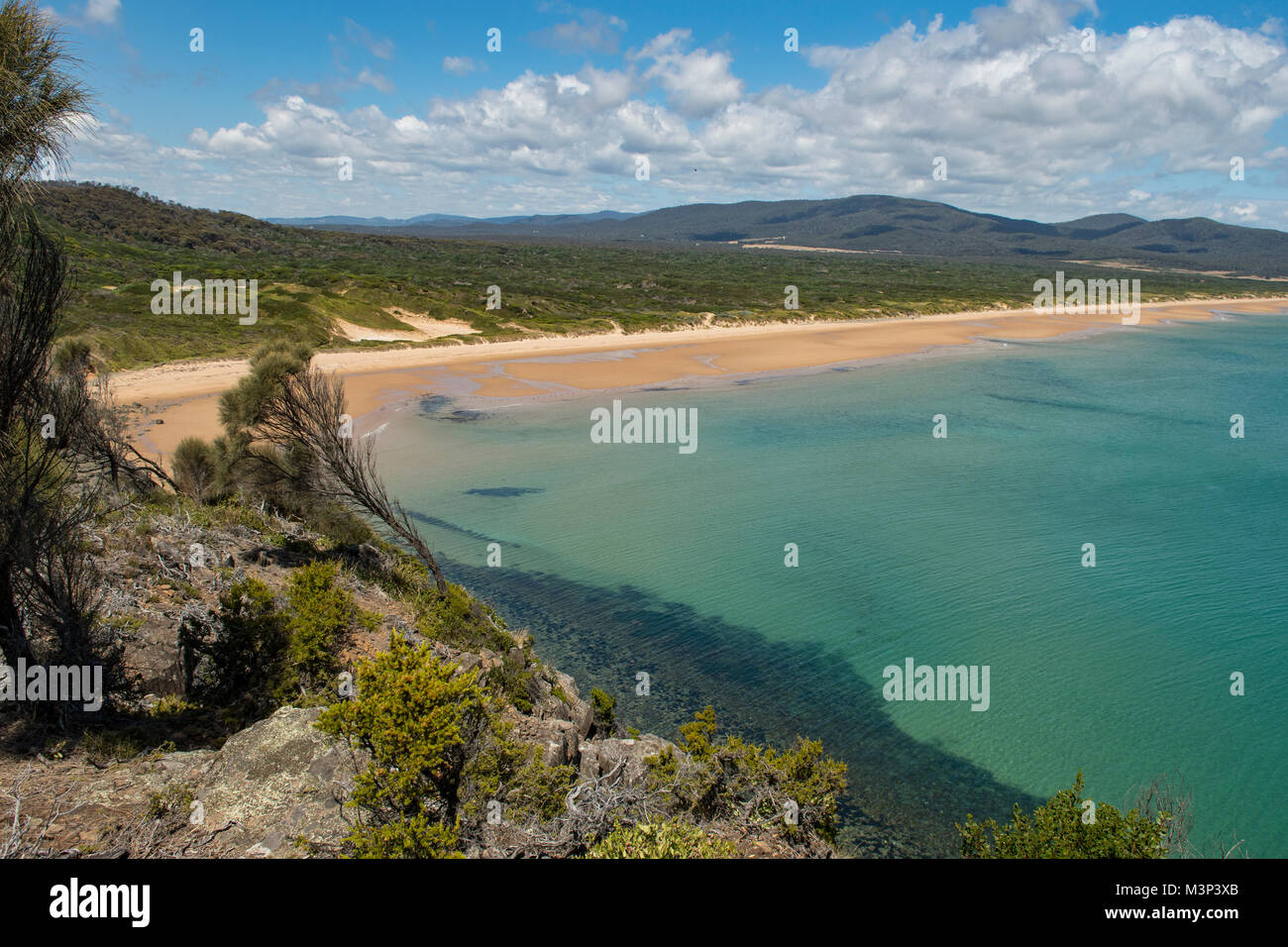 Badger Beach from West Head, Narawntapu NP, Tasmania, Australia Stock Photo  - Alamy