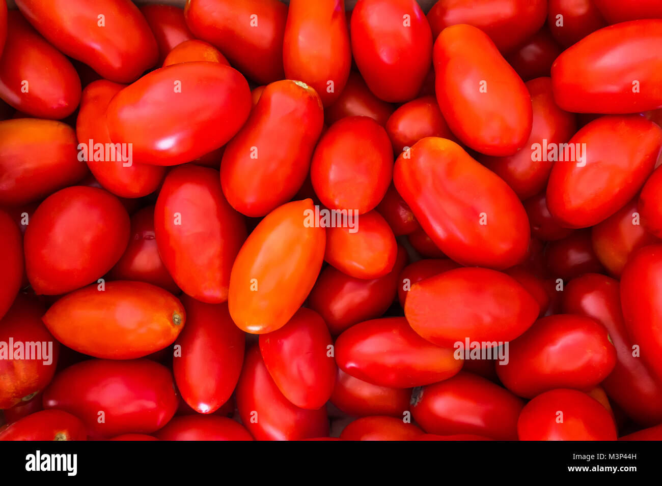 Delicious fresh raw Italian San Marzano tomatoes texture background. Stock Photo