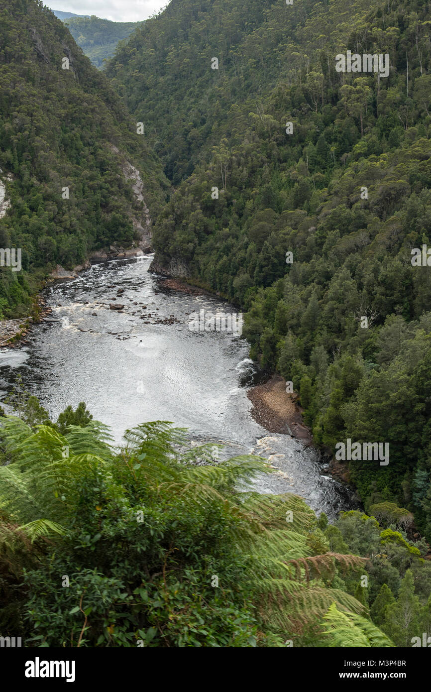 King River, West Coast Wilderness, Tasmania, Australia Stock Photo