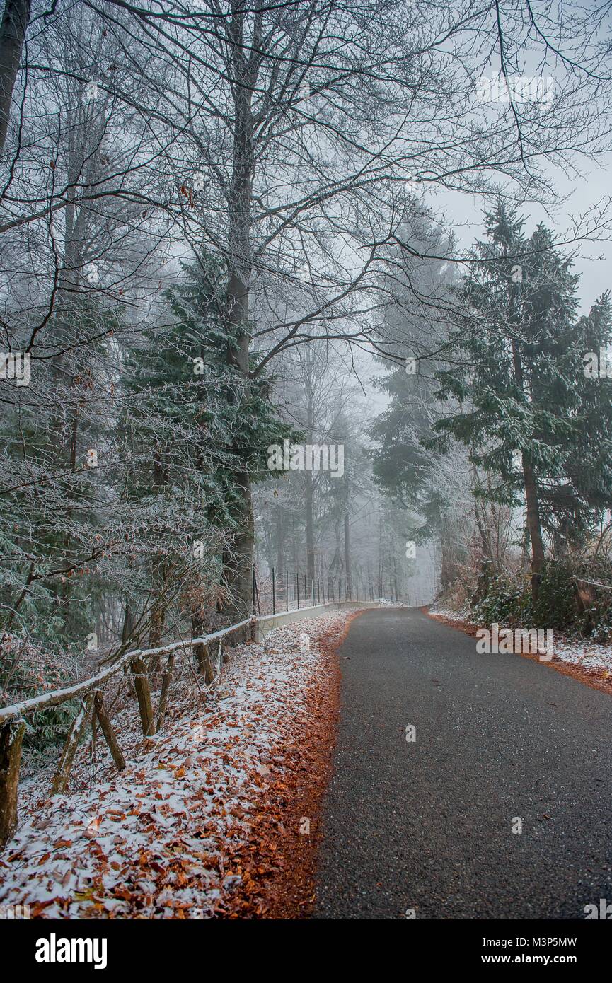 mountain road covered by snow Stock Photo