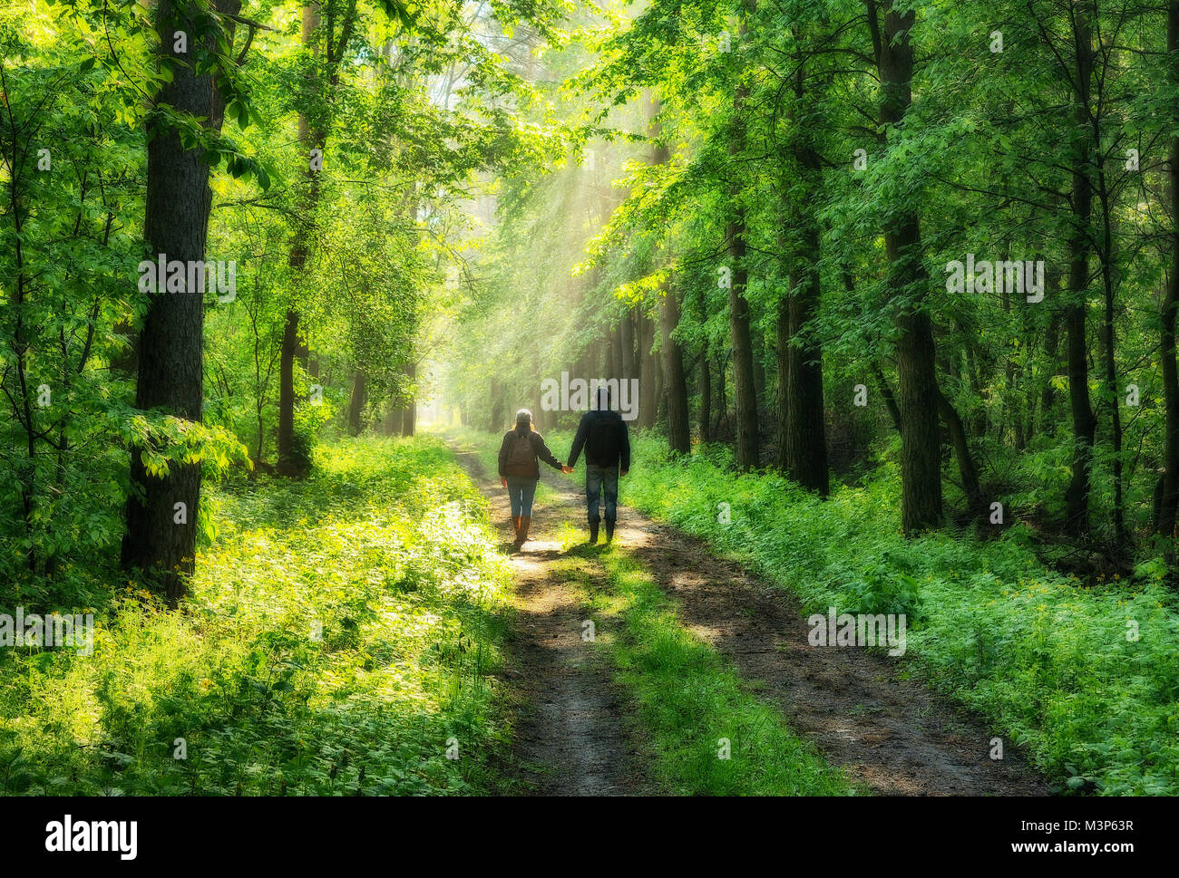 man and woman in the forest Stock Photo - Alamy