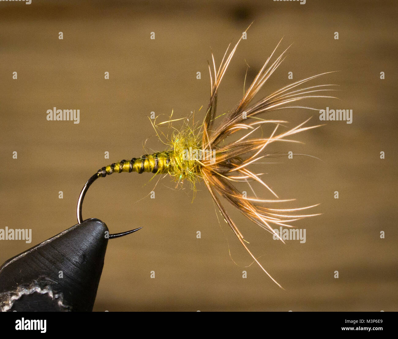 Olive Fly Fishing Fly No Hackle