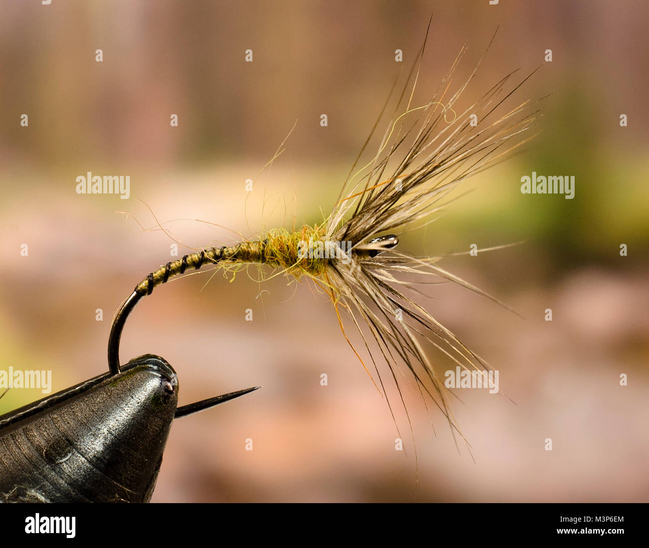 Sakasa Kebari Olive Covert Soft Hackle wet fly  Hook: GCO 9254 No.12 Head: olive thread Hackle: barred rooster wing upper covert feather Body: olive t Stock Photo