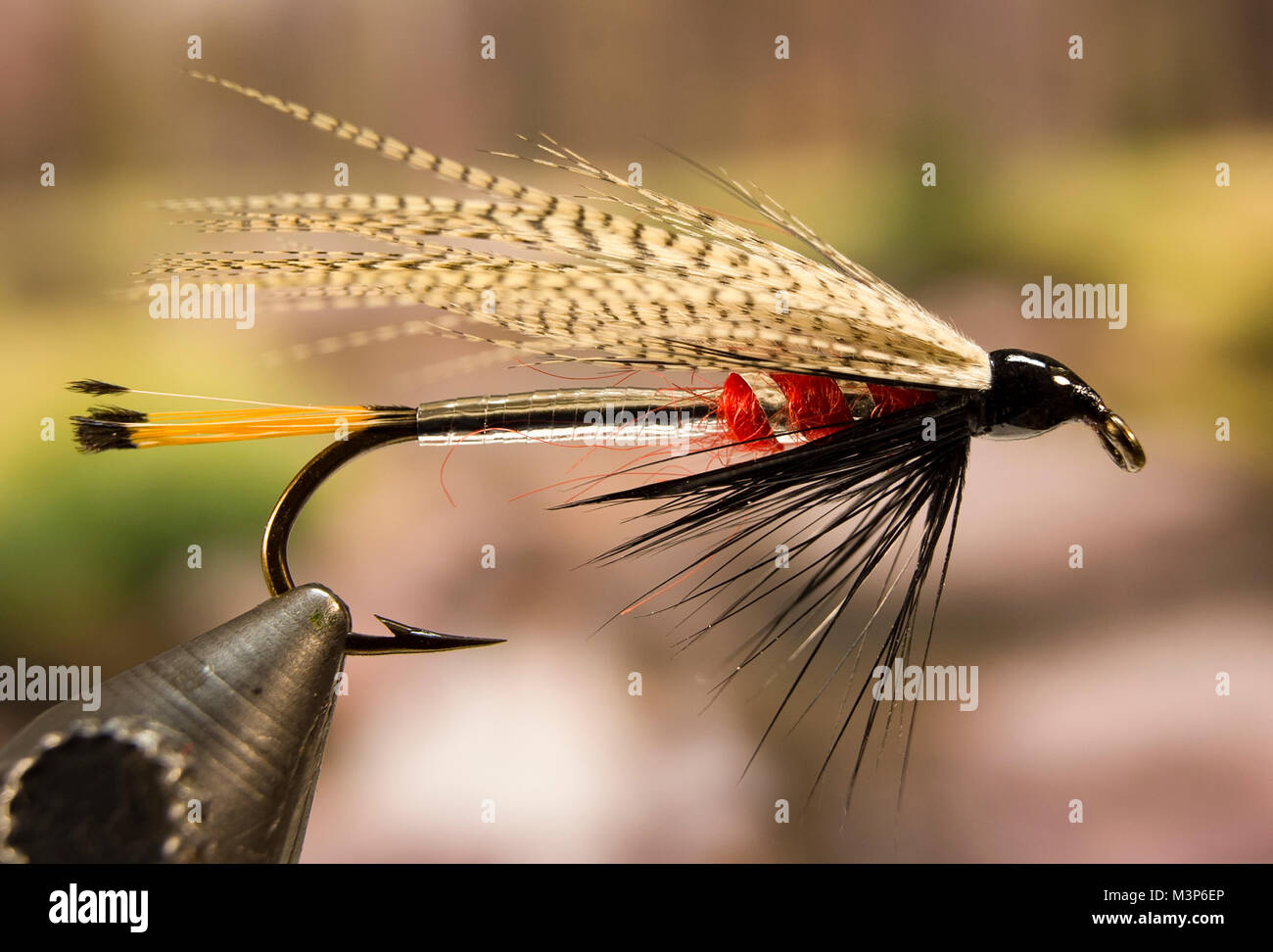 Trout streamer hi-res stock photography and images - Alamy