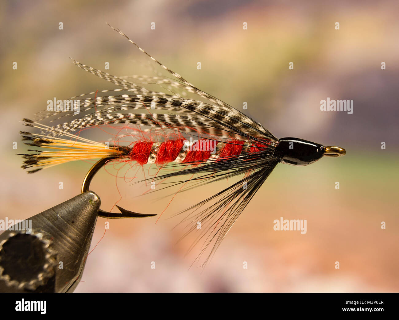 Streamer fly tying hi-res stock photography and images - Alamy
