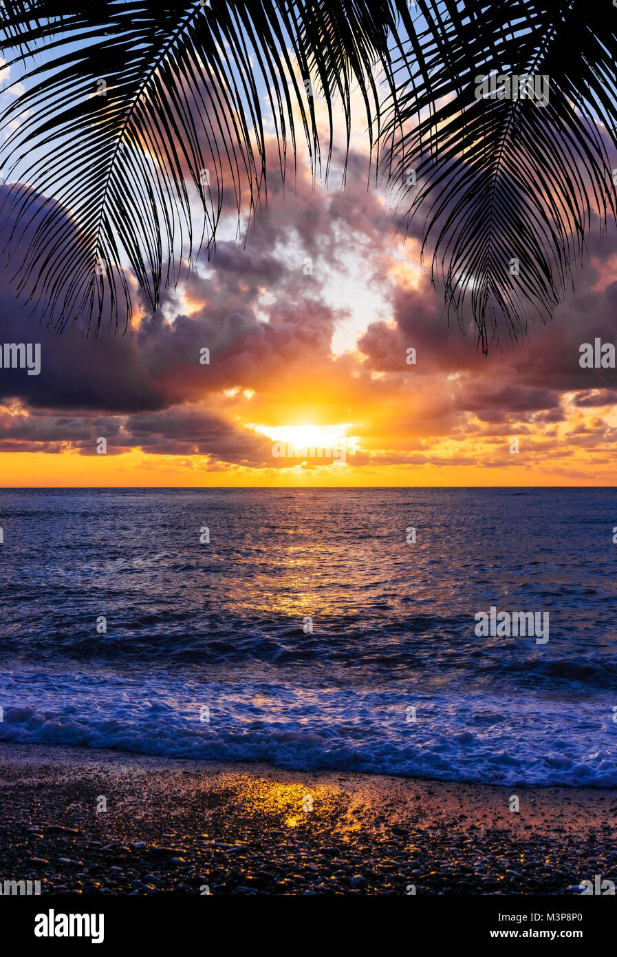 palm trees silhouette on sunset tropical beach Stock Photo - Alamy