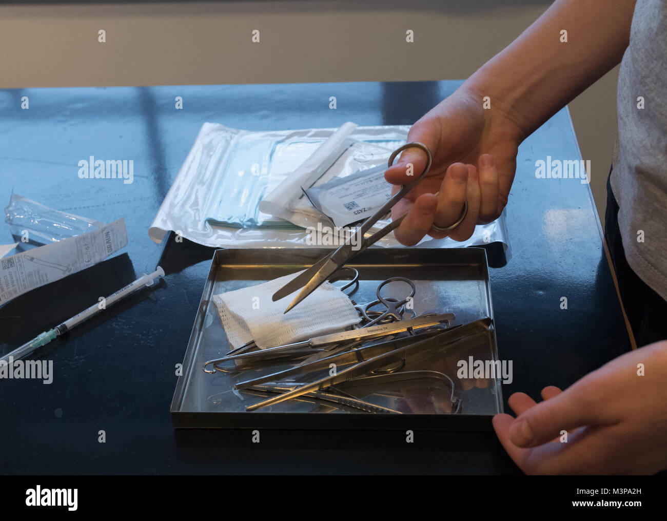 a veterinarian prepares the tools for surgery Stock Photo - Alamy