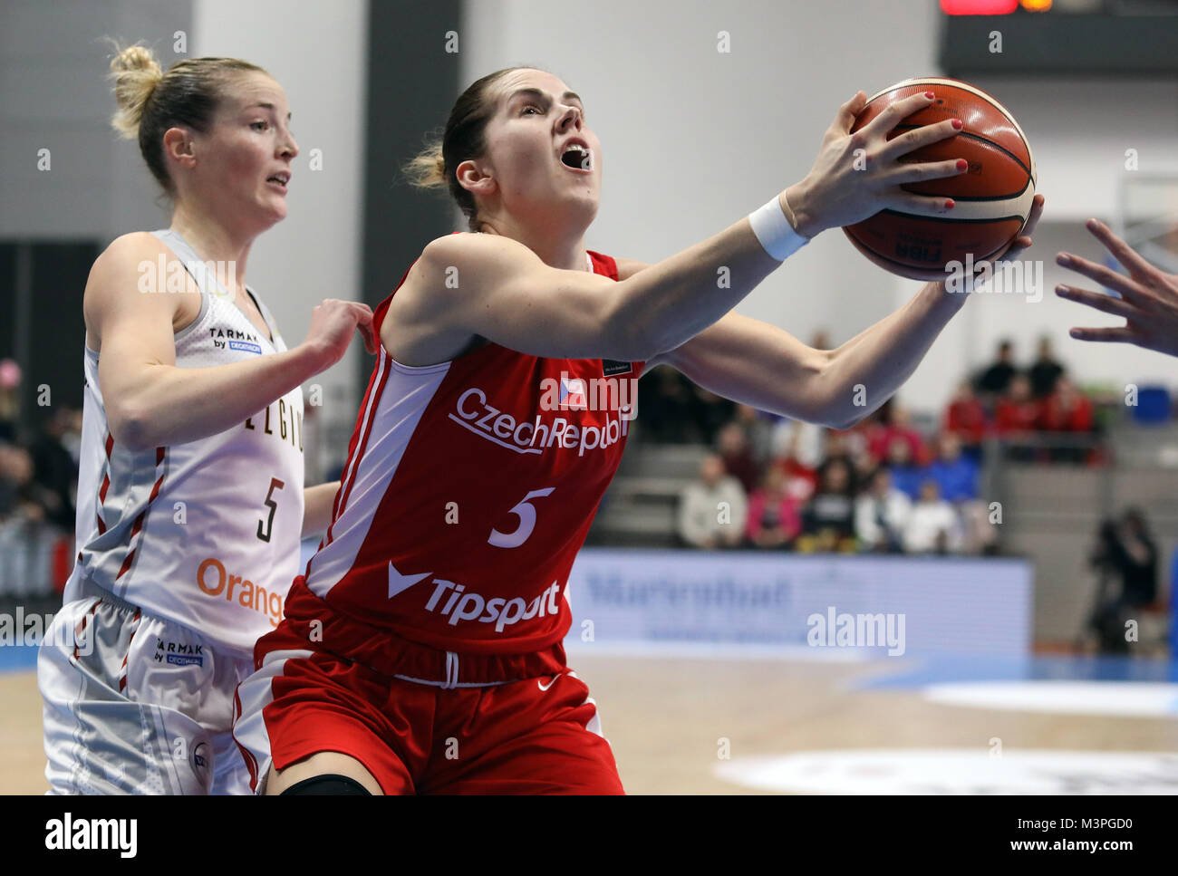 Womens basketball european qualifier hi-res stock photography and images -  Alamy