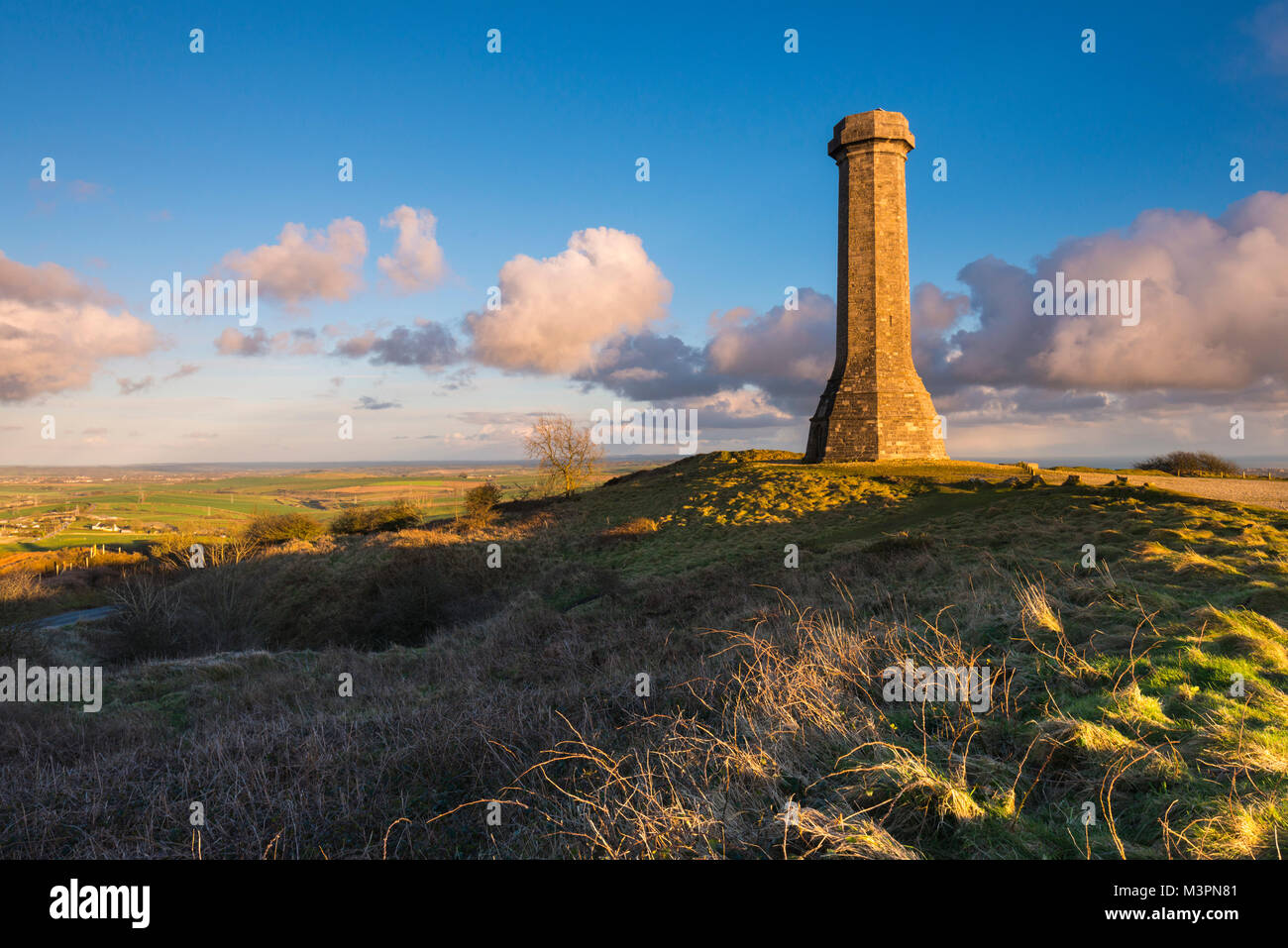 Hardy's Monument, Portesham, Dorset, UK.  12th February 2018.  UK Weather.   Sunshine at Hardy's Monument near Portesham in Dorset on a cold but mainly sunny afternoon.  The monument was build in tribute to Vice-Admiral Sir Thomas Masterman Hardy, who was captain aboard the HMS Victory under Admiral Nelson in the Battle of Trafalgar.  Picture Credit: Graham Hunt/Alamy Live News. Stock Photo