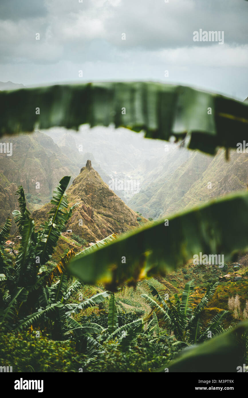 Mountain peak of Xoxo valley visible throught the banana leaves frame