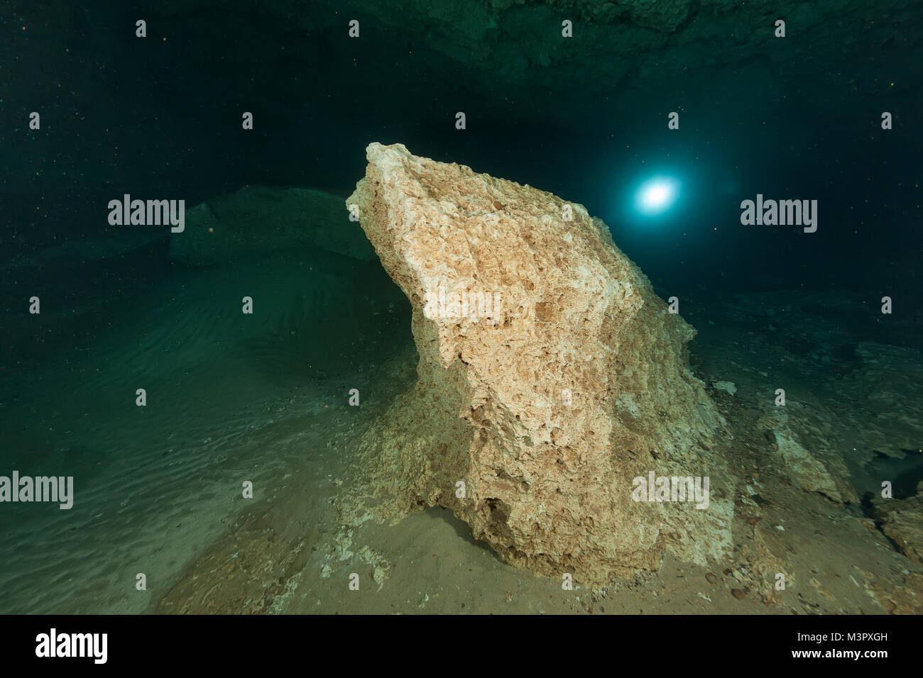 divers underwater caves diving Florida Jackson Blue cave USA Stock