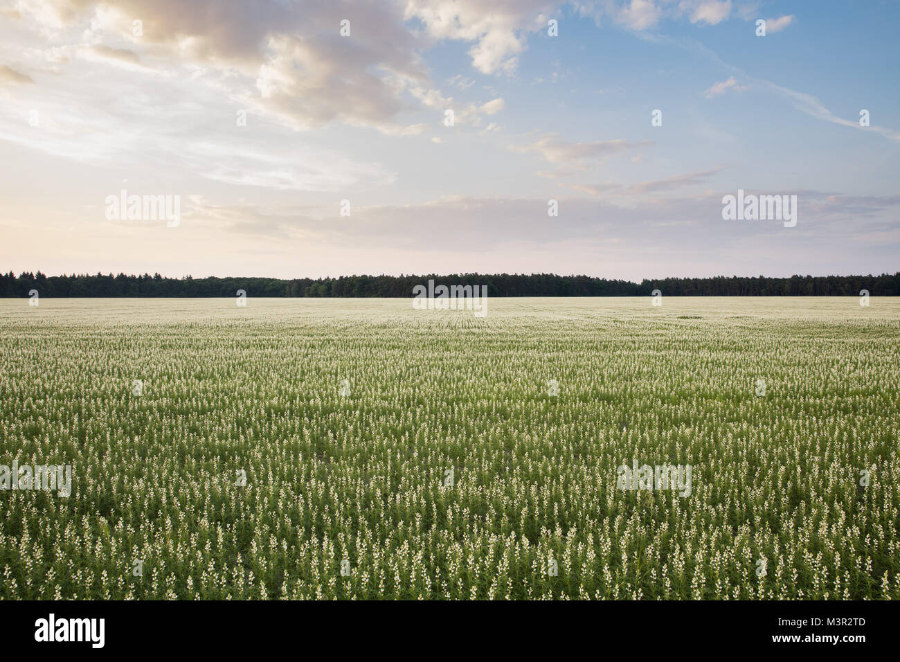 Farmland, fields, Countryside Stock Photo - Alamy