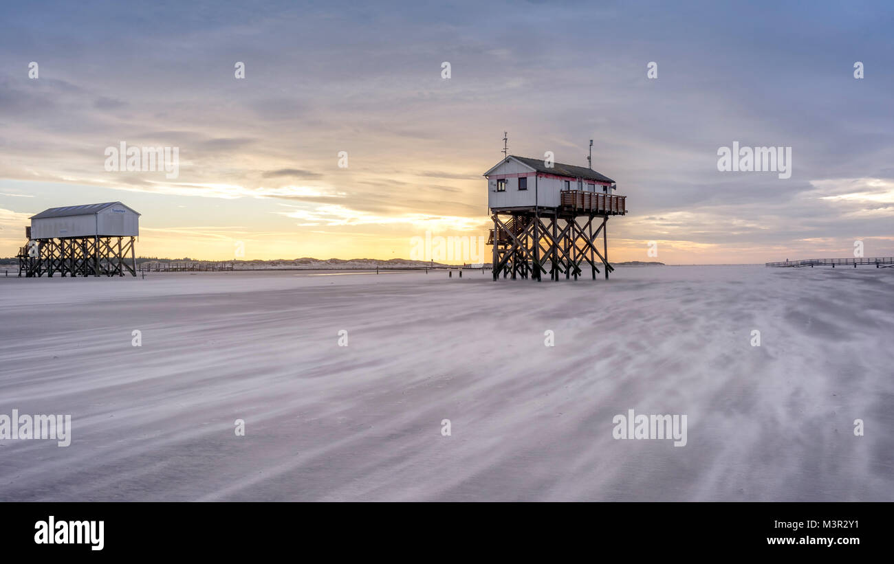 Sandstorm at low tide. Sankt-Peter-Ording at a wintery sunset. Stock Photo