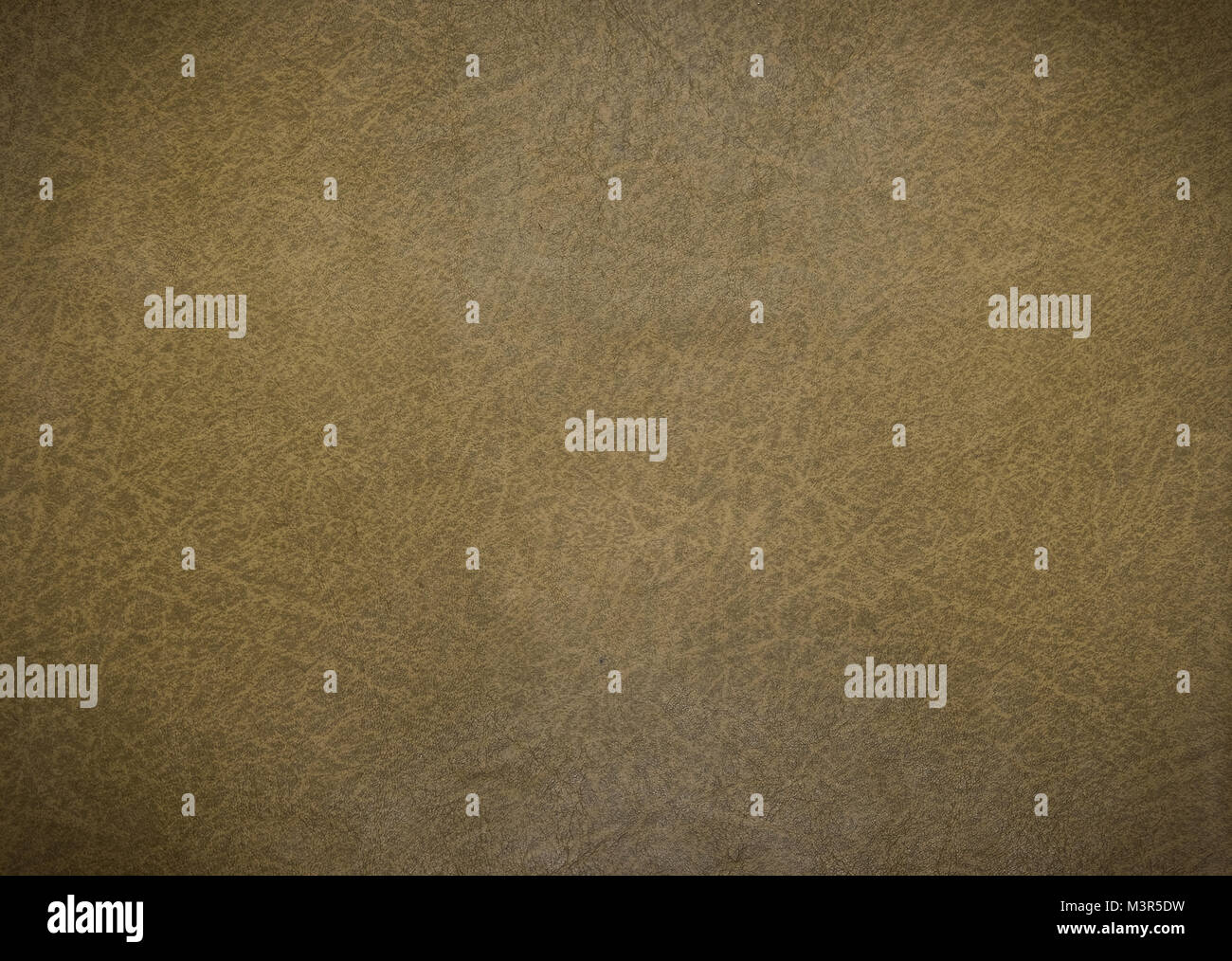 Olive texture hi-res stock photography and images - Alamy