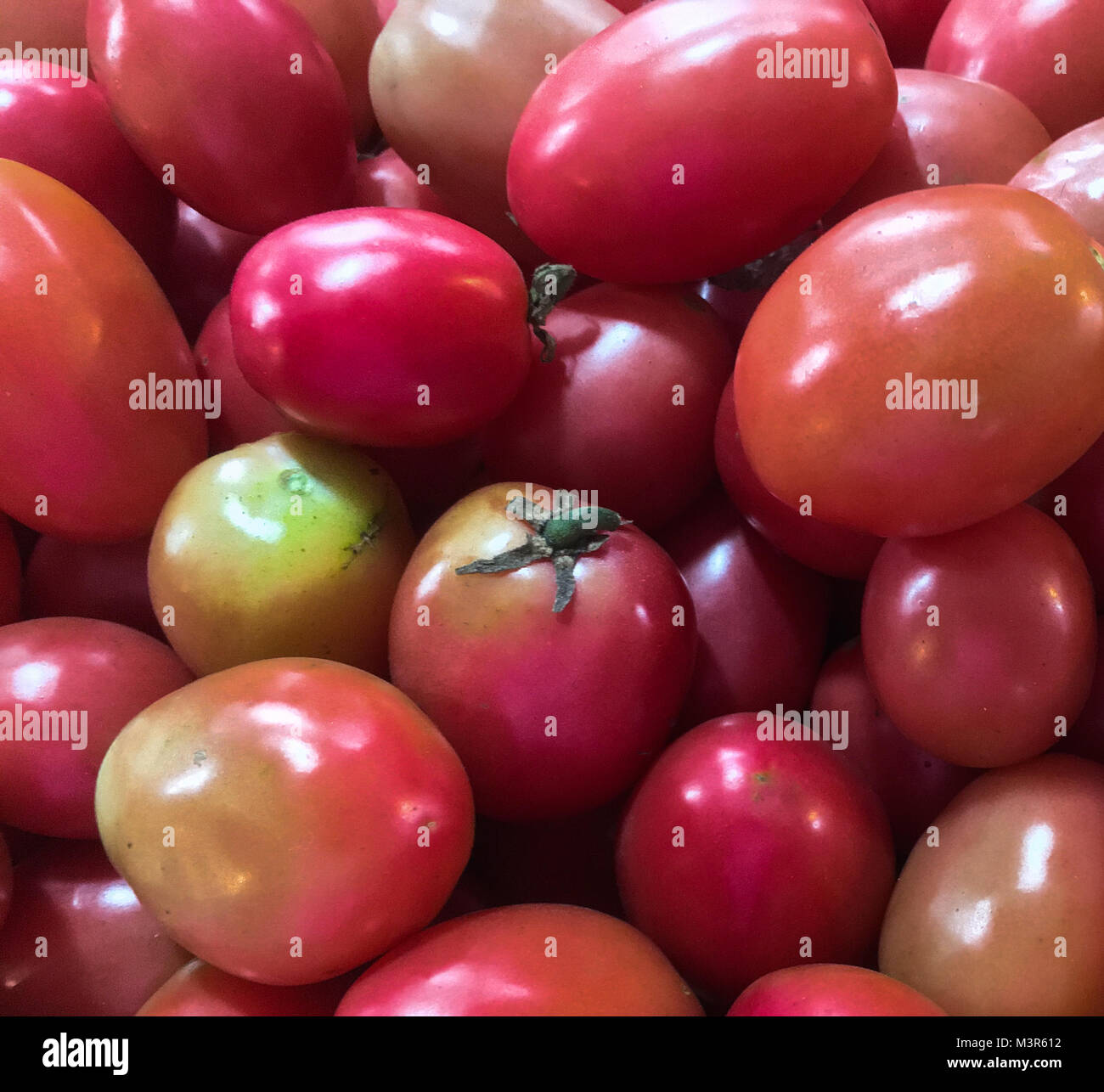 red tomatoes background, group of tomatoes asia Stock Photo - Alamy