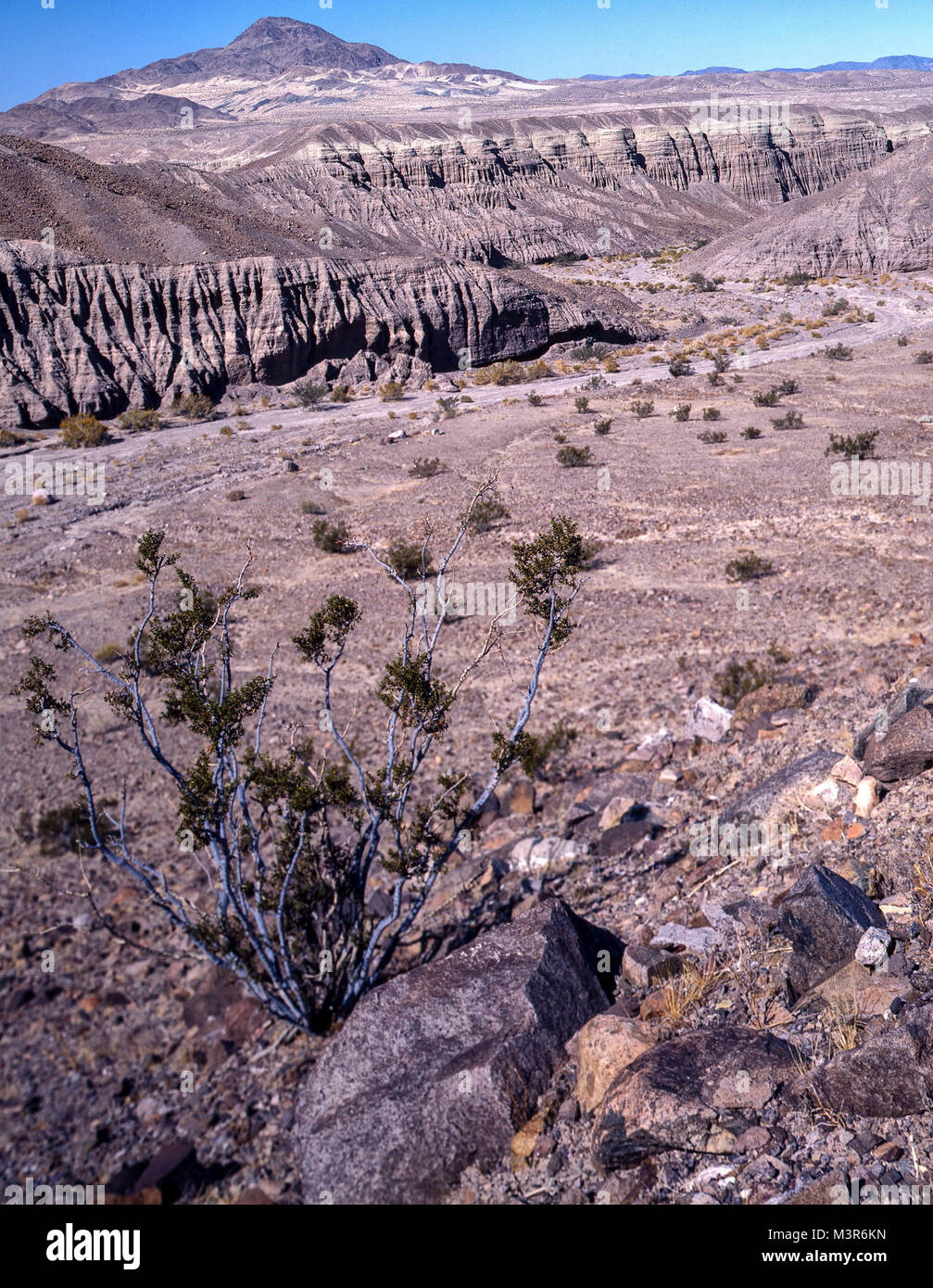 Afton canyon arid landscape near Barstow, Nevada, United States of America Stock Photo