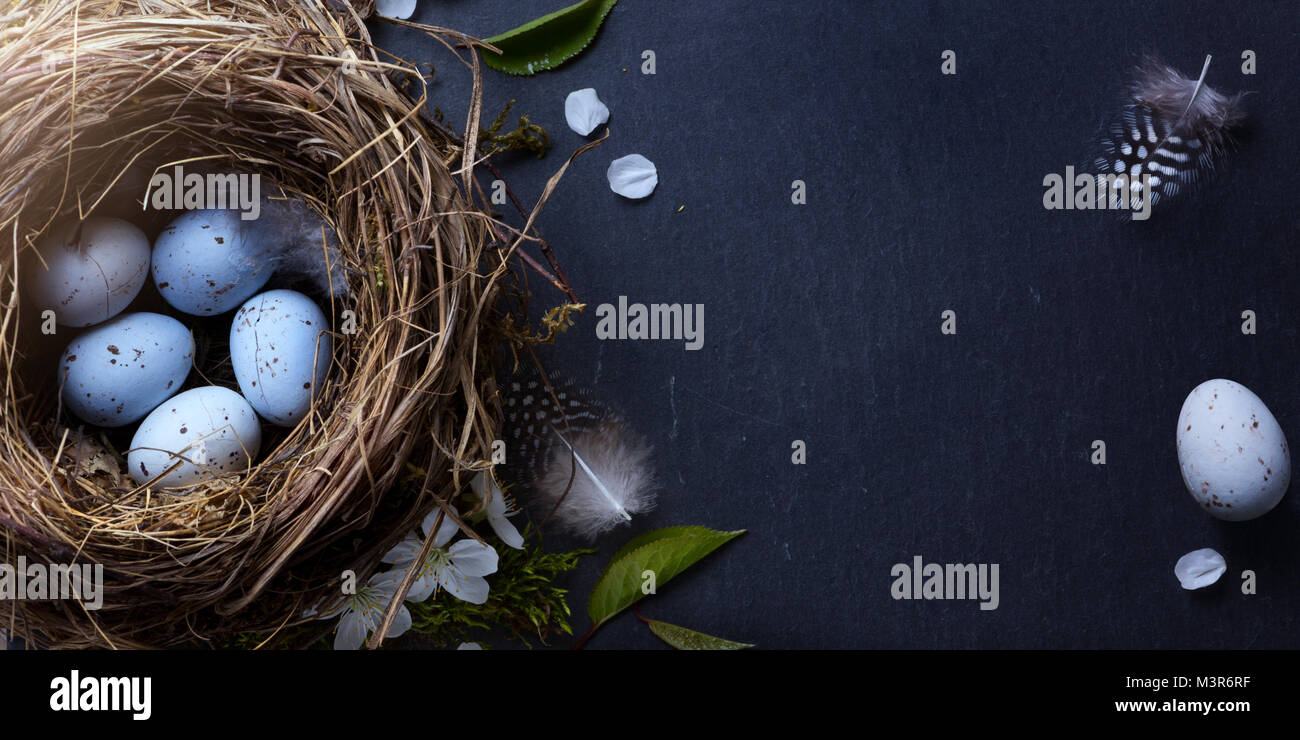 Happy Easter; Easter eggs in nest and spring flower on table background ...