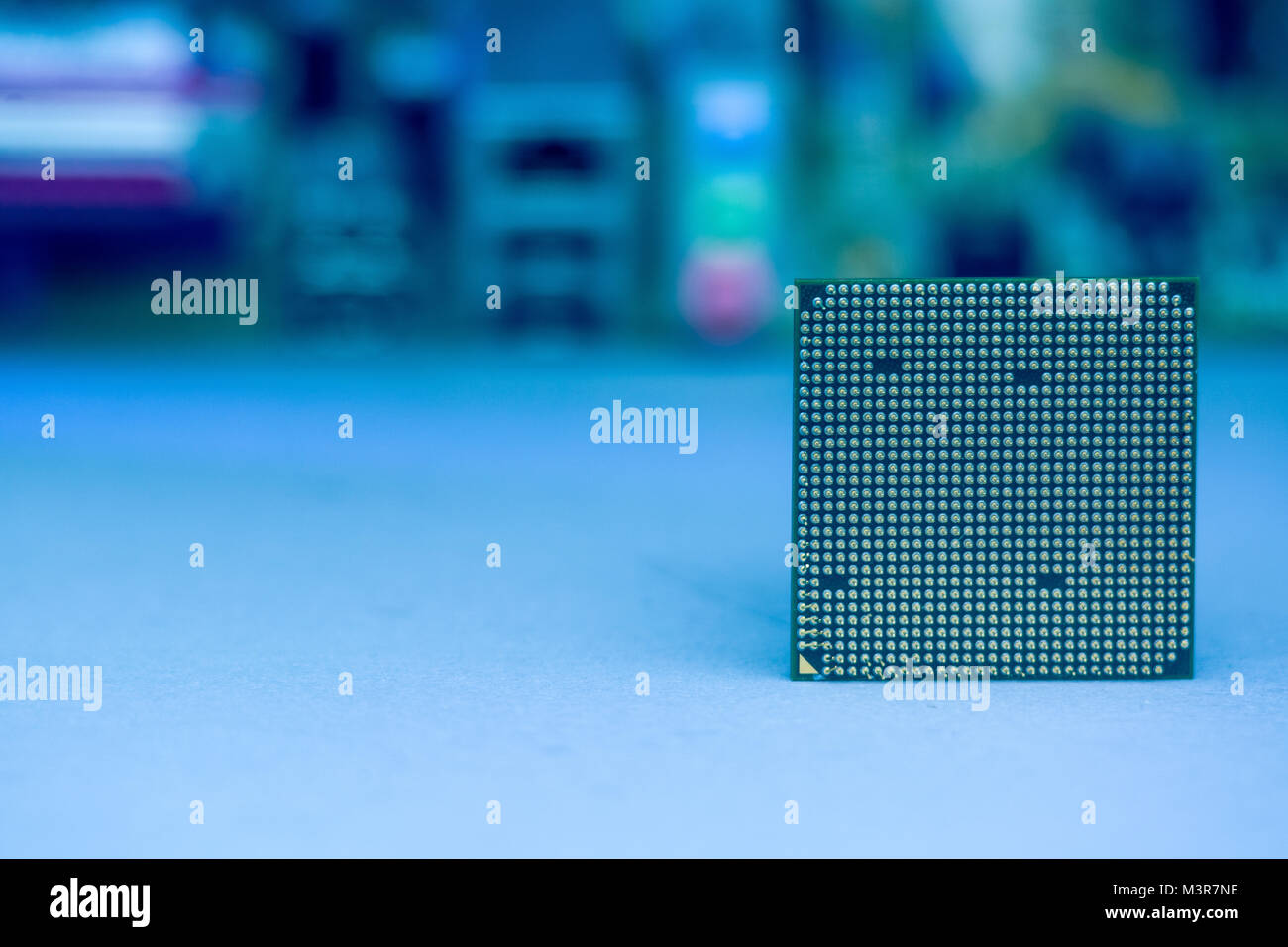 Pins of a Computer Main CPU Processor Stock Photo Alamy