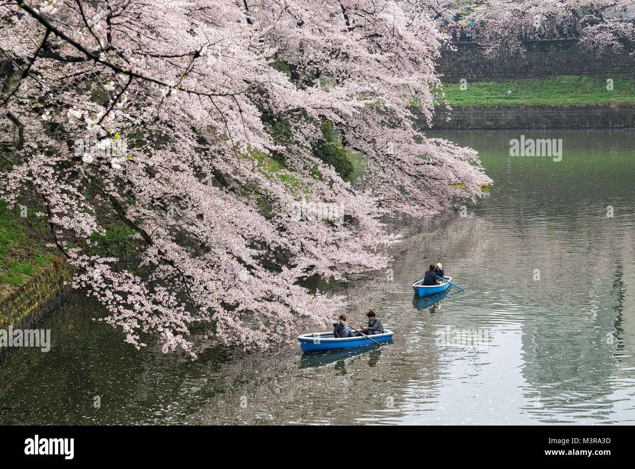 Japan, Honshu island, Kanto, Tokyo, moats of the Imperial Castle in spring. Stock Photo