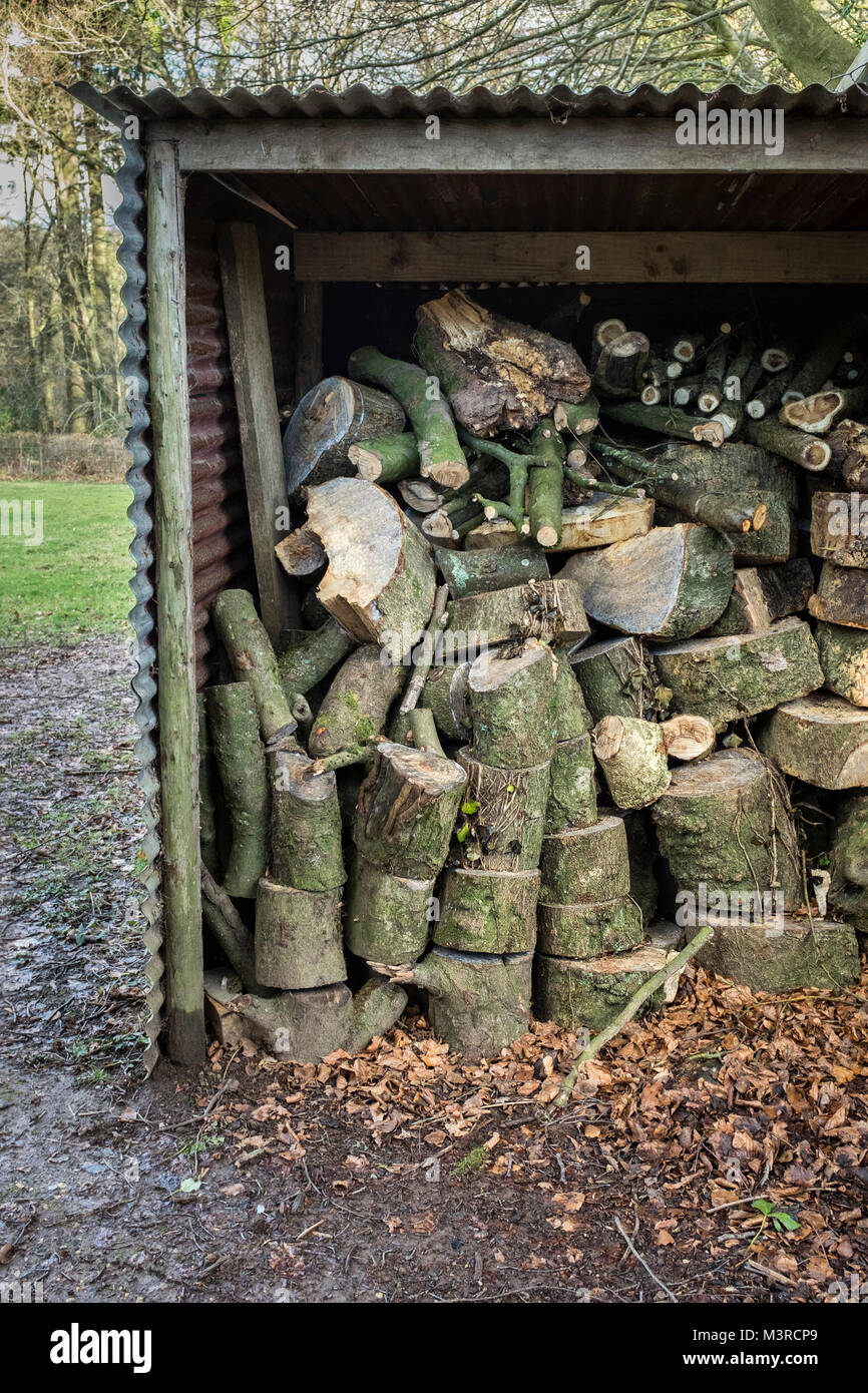 Log Drying Stock Photos Log Drying Stock Images Alamy