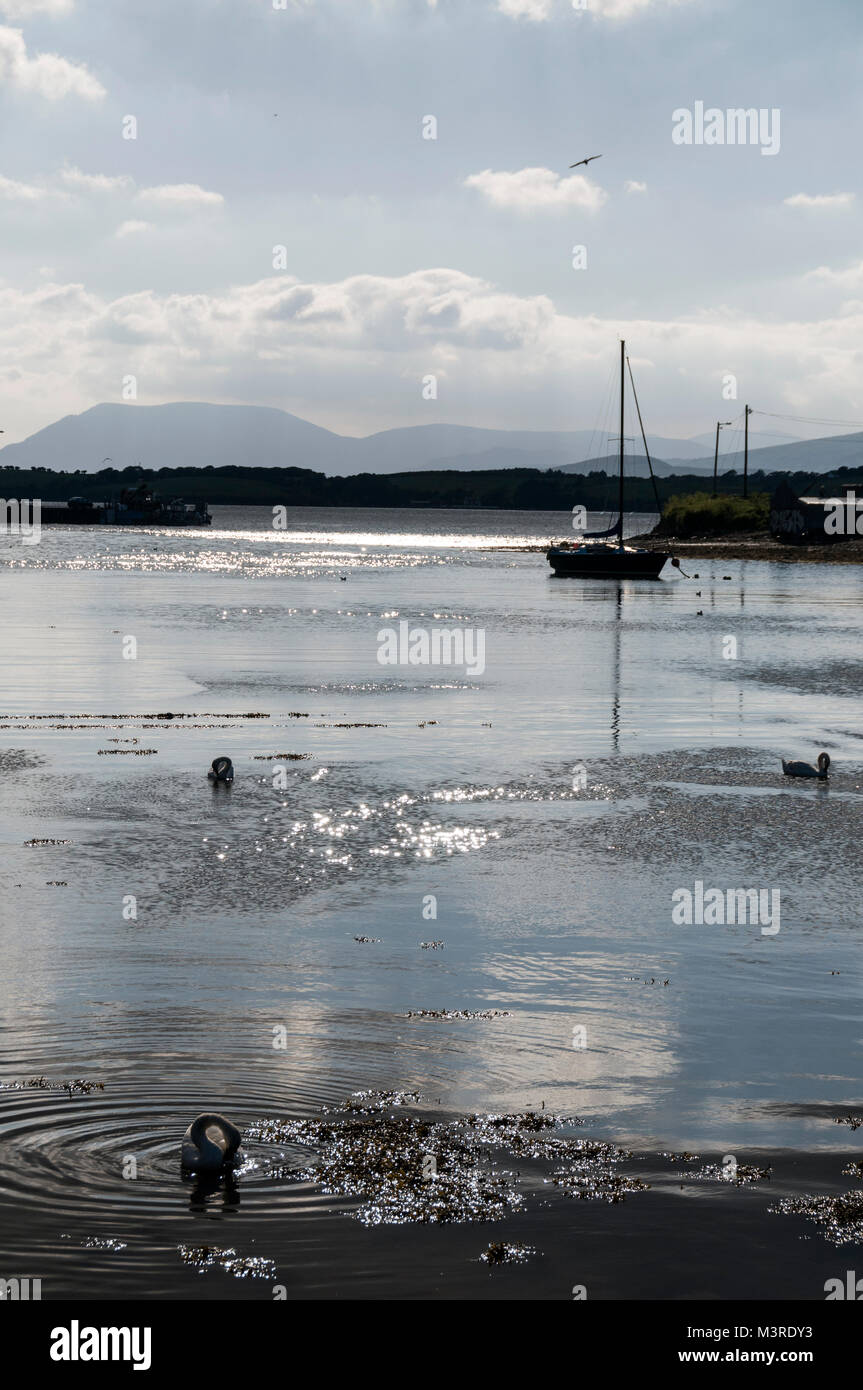 Bantry Bay, Bantry, Southern Ireland Stock Photo Alamy