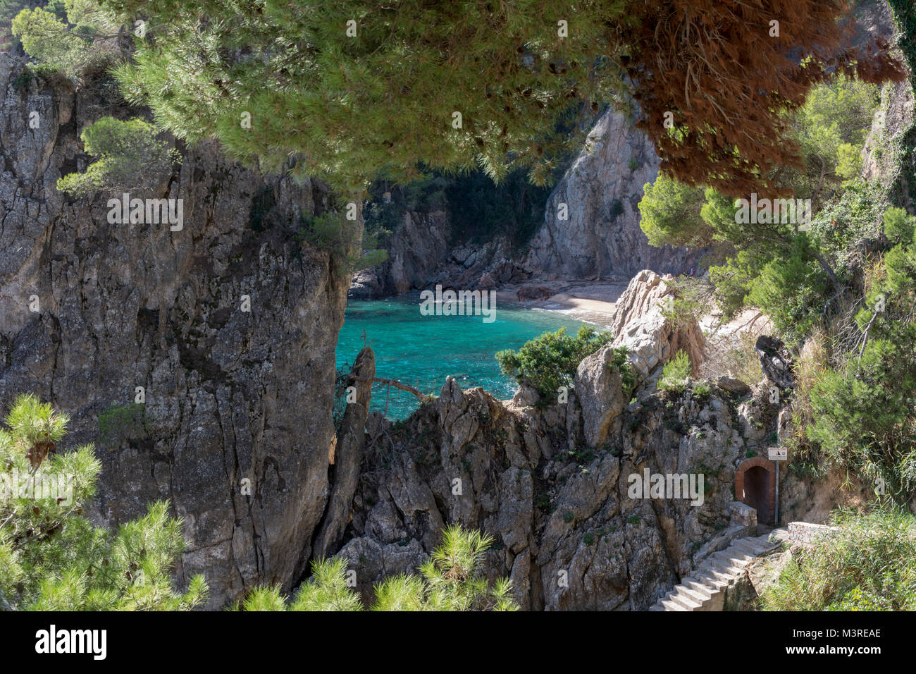 Küstenwanderweg an der Costa Brava bei Calella de Palafrugell Stock ...