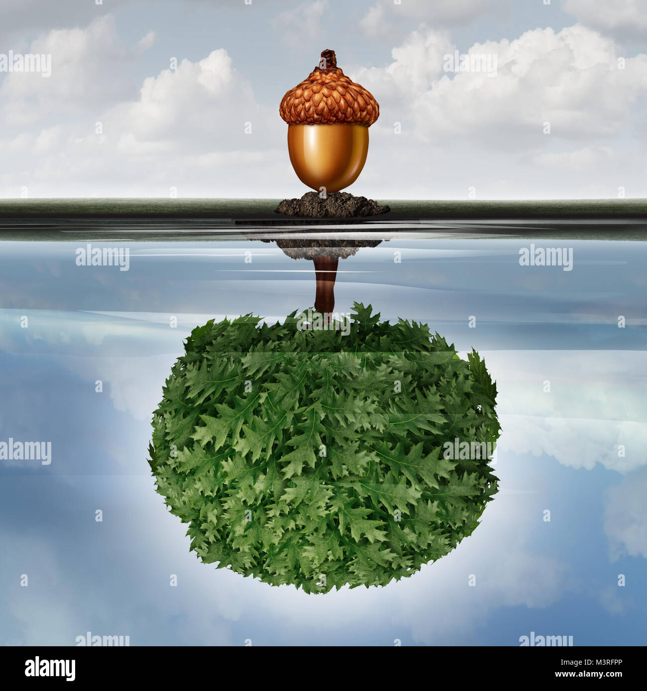 Invest concept as a business success symbol with an acorn with a reflexion in the water of an oak tree with 3D illustration elements. Stock Photo