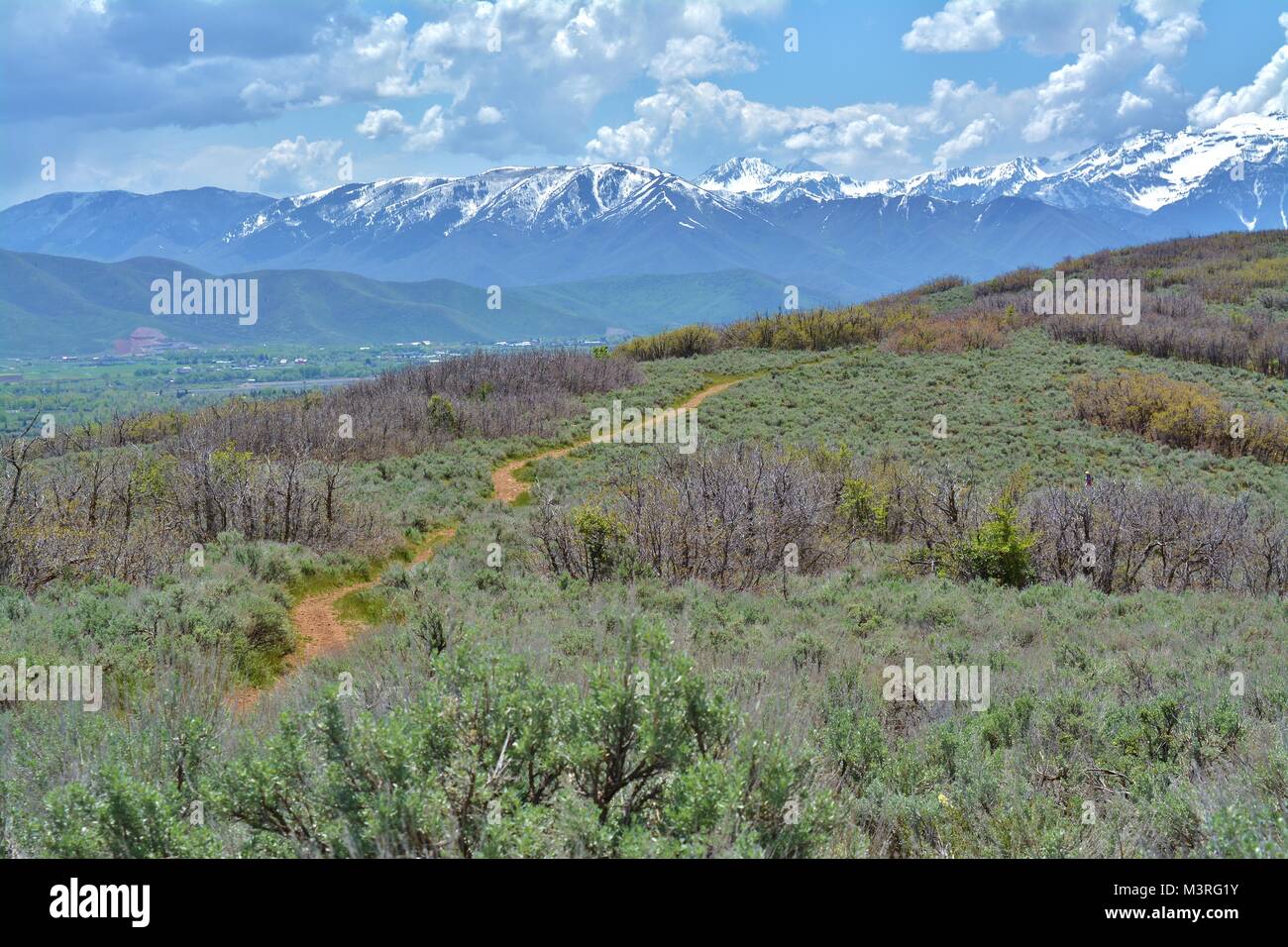 Hiking trail in Midway, UT Stock Photo