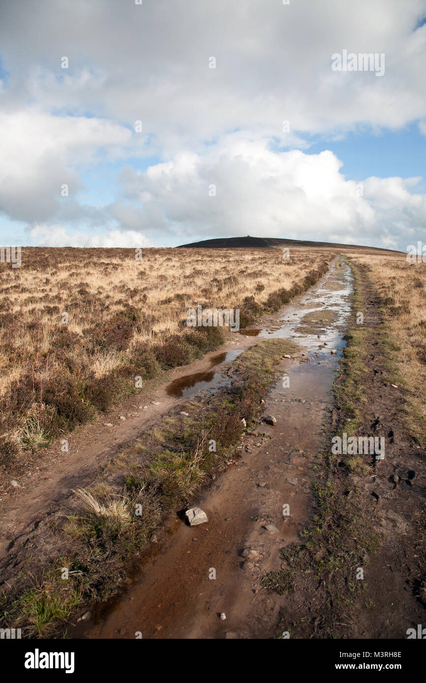 A track leads to the summit of Dunkery Beacon, at 519 metres the highest point on Exmoor, Somerset, England. Stock Photo