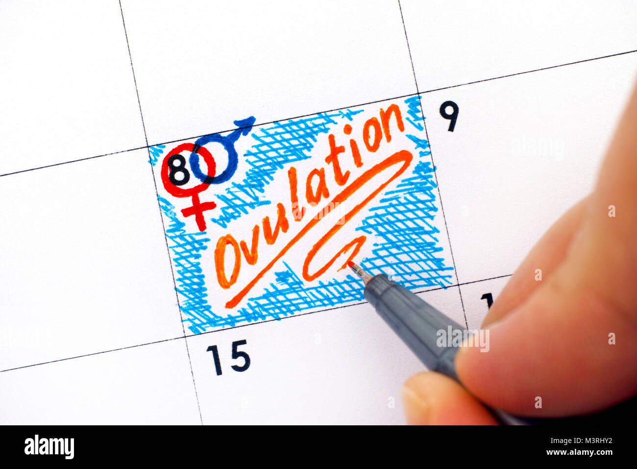 Ovulation calendar hi-res stock photography and images - Alamy