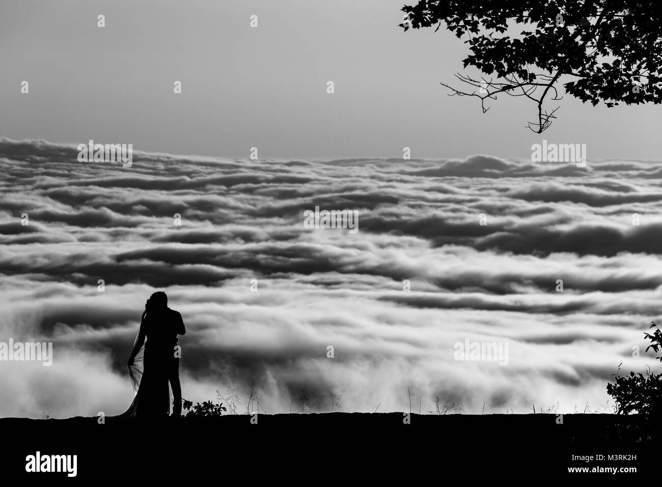 A bride and groom are silhouetted along a view of a cloud inversion in Shenandoah National Park in Virginia. Stock Photo