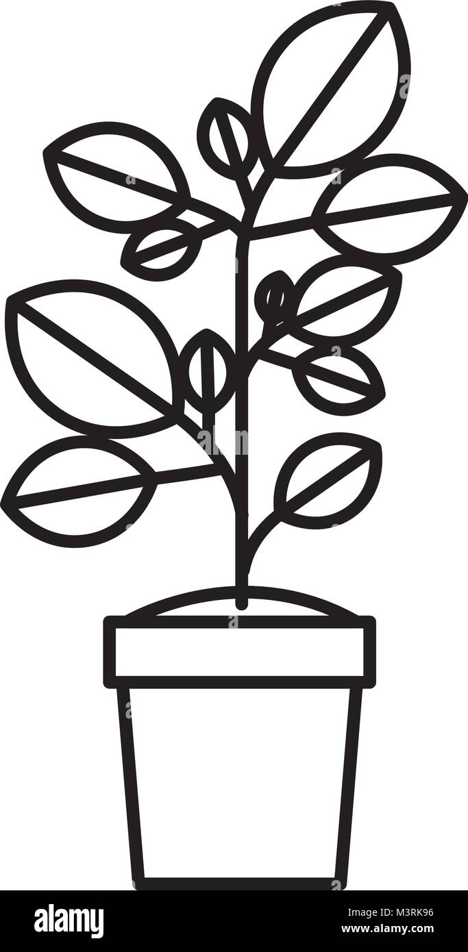 plant in pot isolated icon Stock Vector Image & Art - Alamy