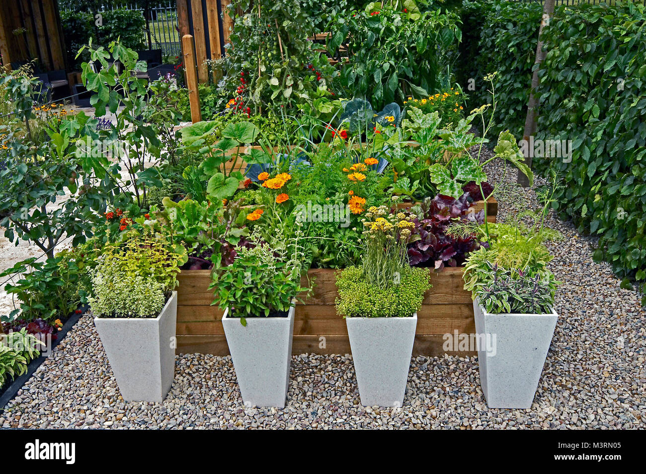 A decorative herb and vegetable garden with planted containers Stock