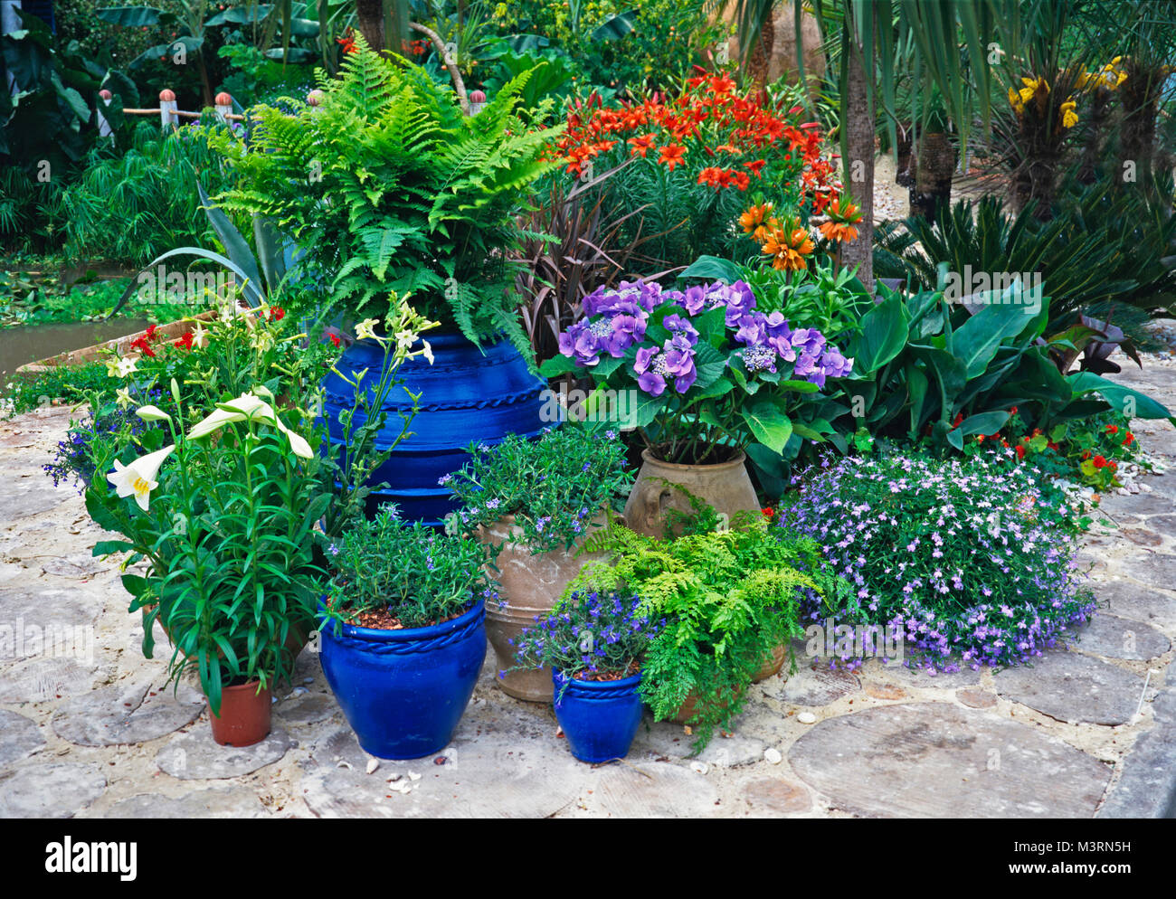 Collection of colourful planted pots in a mediterranean garden Stock Photo