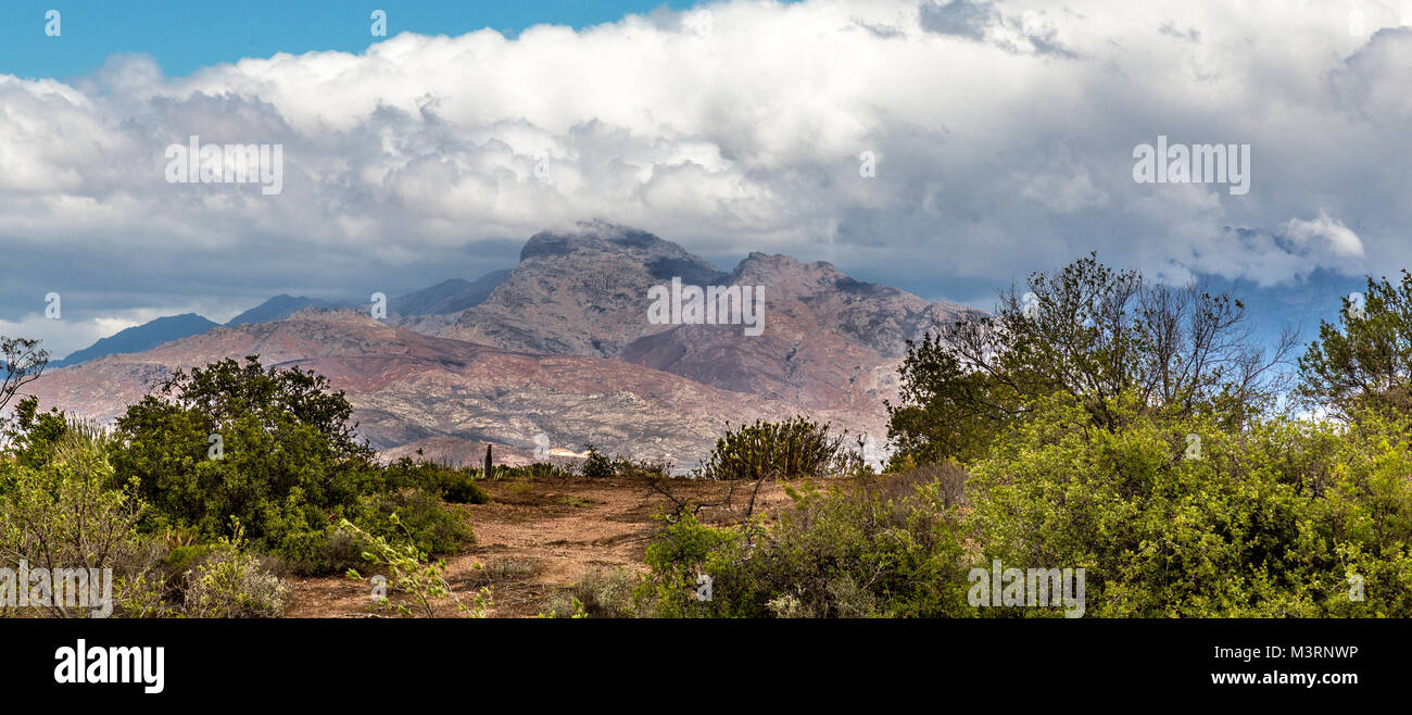 Countryside around Worcester in South Africa's Cape Province. Stock Photo