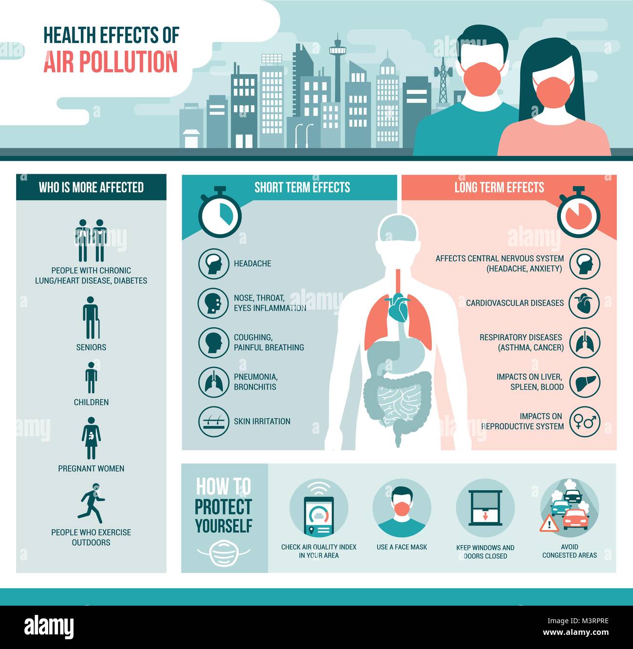 Air Pollution Infographic