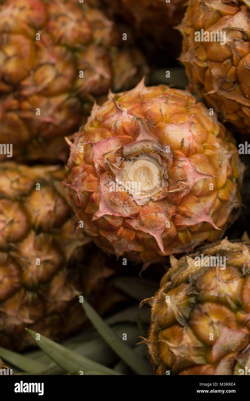 Pineapple piled up for sale in Browns town market near Ocho Rios