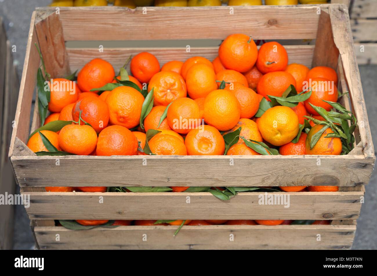 fruit box full of fresh clementines grown with biological techniques