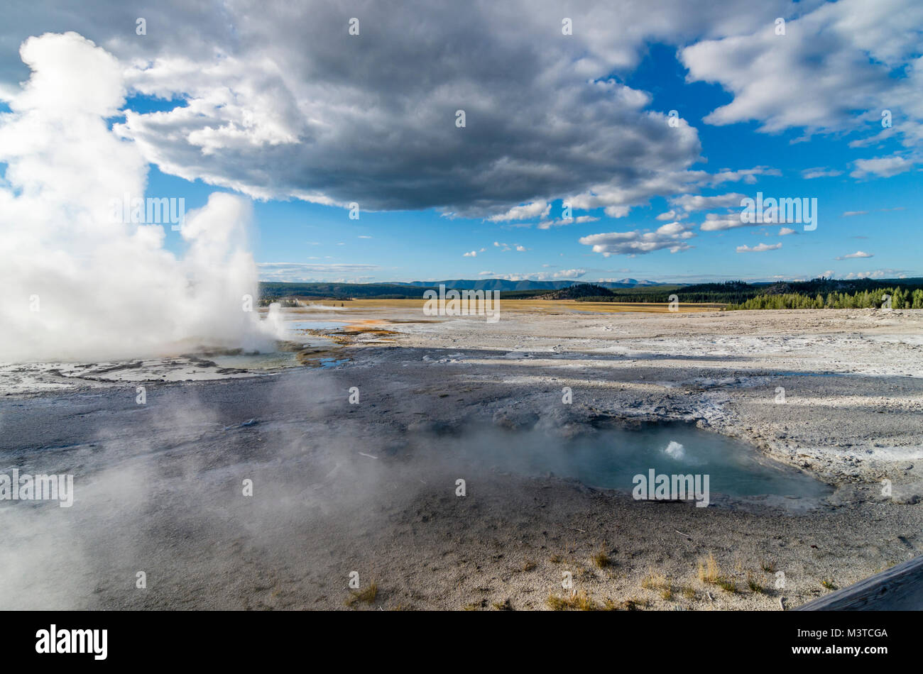 Plumes of steam mark multiple geysers erupting at the same time in the ...