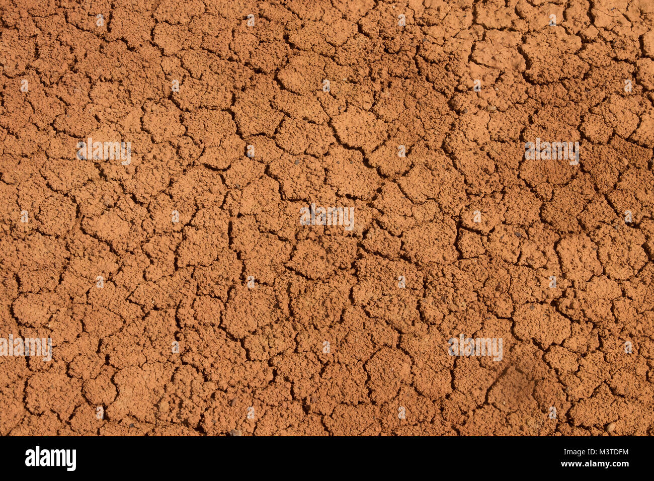 Background of red clay, the real desert. soil Stock Photo Alamy