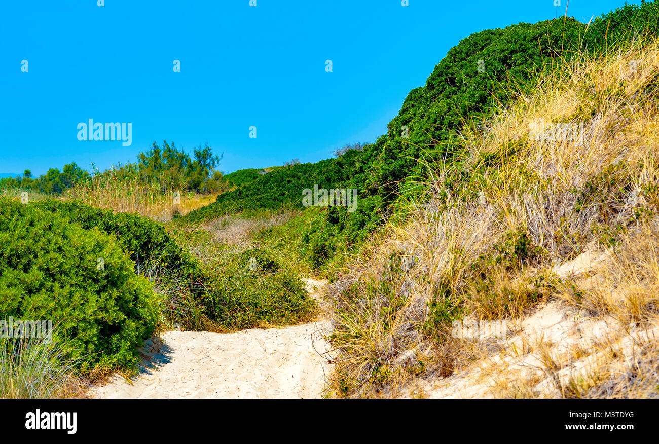 Enchanting views in the 'Dune Costiere' Park, Pilone, Fasano, Apulia, Italy. Stock Photo