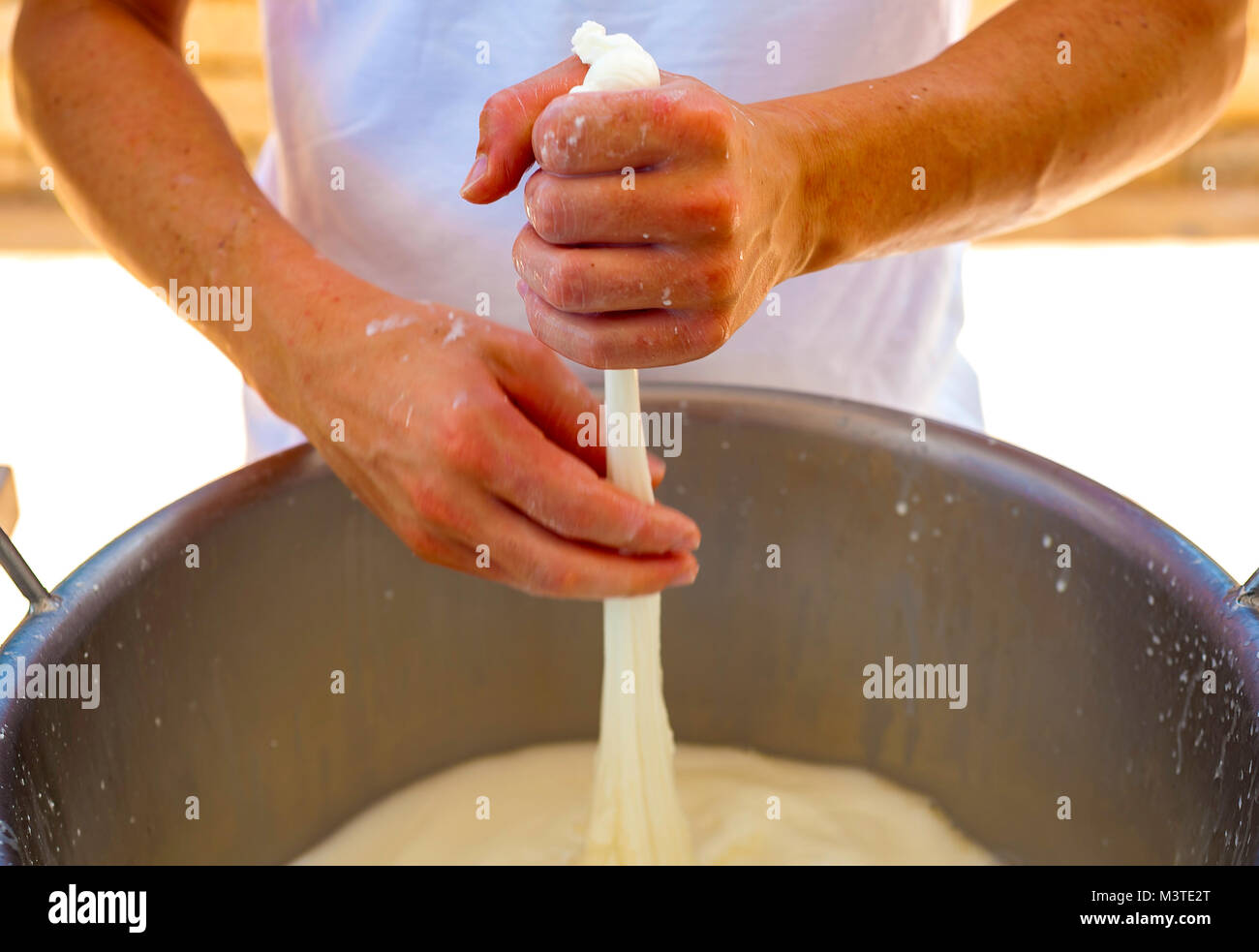Worker from cheese factory producing mozzarella. Selective focus Stock Photo