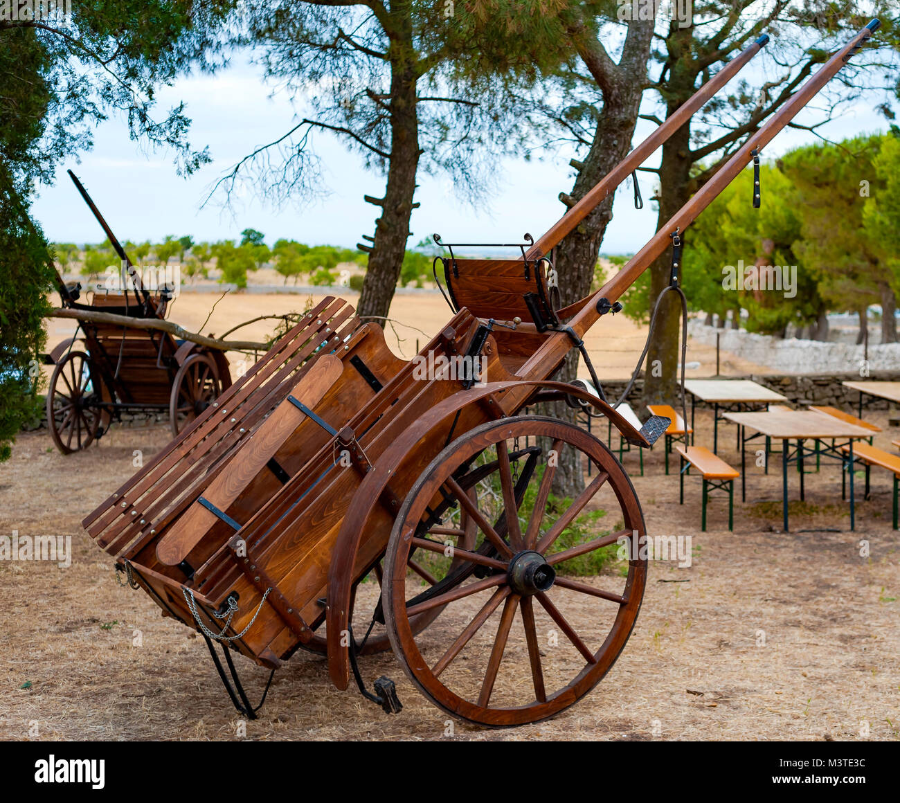 Traditional horse carriage or donkey used in the Apulian countryside by farmers up to the 20th century. Puglia - Italy Stock Photo