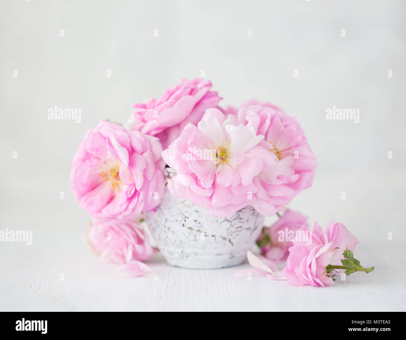 Bouquet of pale pink roses in clay vase on light grey background. Tea